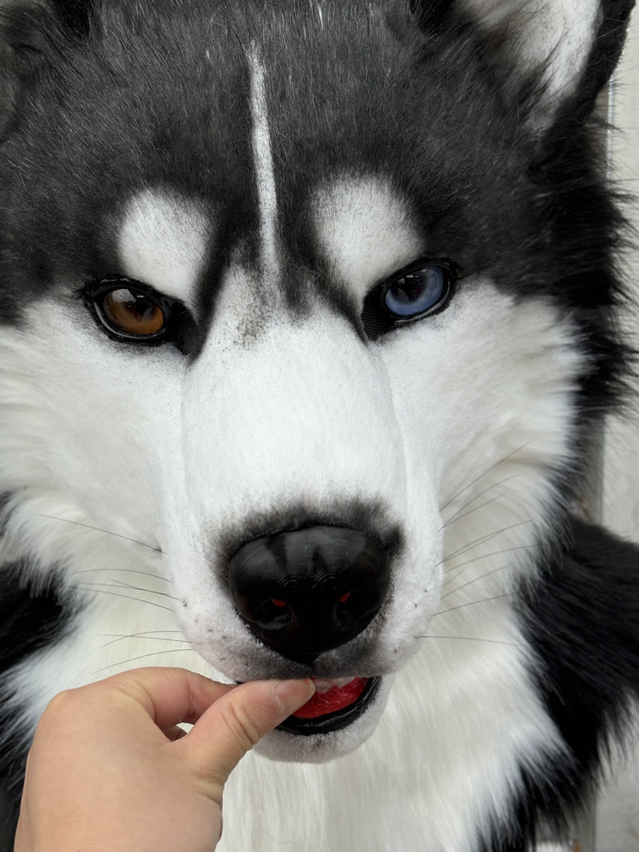 [Stock]Movable Jaw Husky Head Realistic Fursuit Headpiece Dog Cosplay Mask Halloween Costumes