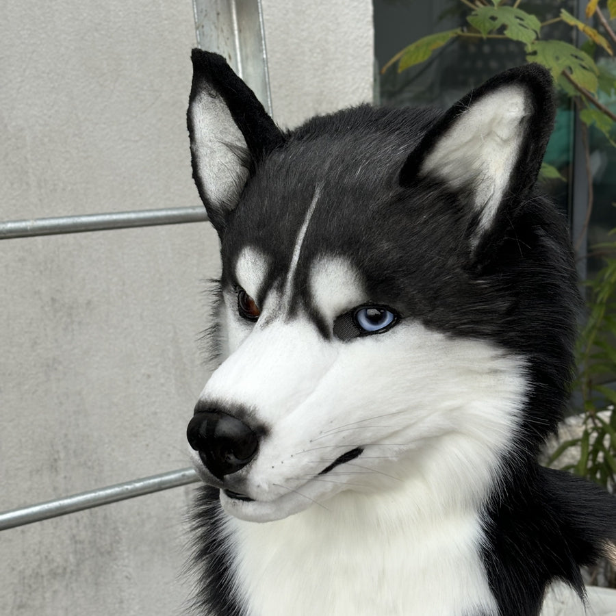 [Stock]Movable Jaw Husky Head Realistic Fursuit Headpiece Dog Cosplay Mask Halloween Costumes