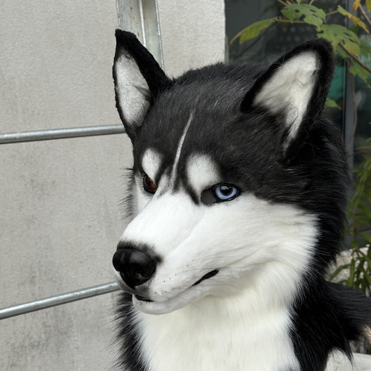 [Stock]Movable Jaw Husky Head Realistic Fursuit Headpiece Dog Cosplay Mask Halloween Costumes