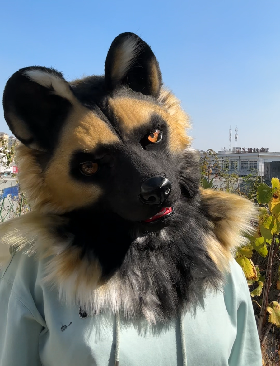 [Stock]Realistic fursuit head african wild dog movable jaw halloween mask cosplay costumes furry accessories
