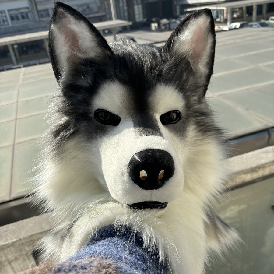 [Stock]Movable Jaw Alaskan Malamute Realistic Fursuit Head Dog Cosplay Mask Halloween Costumes