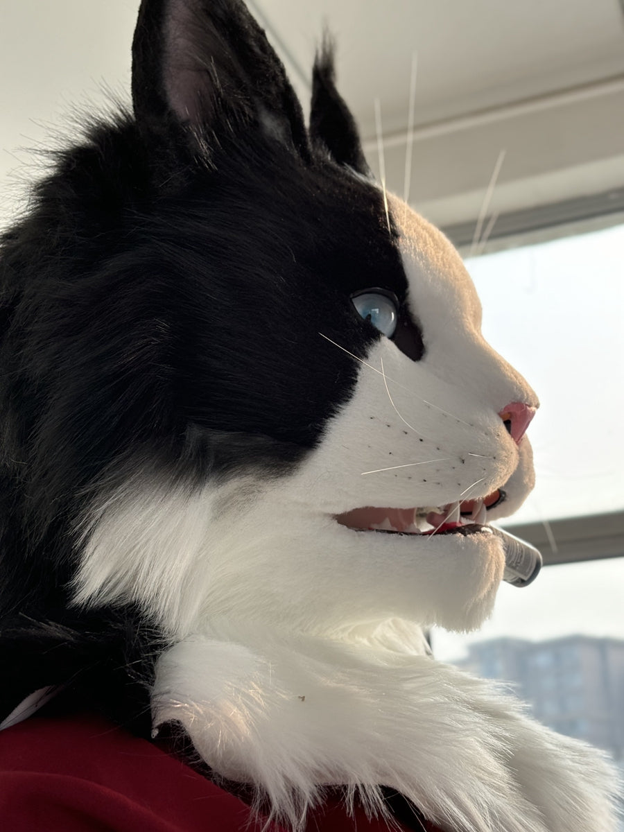 [Stock]Maine Coon Movable Jaw Realistic Cat Fursuit Head Cosplay Headpiece Halloween Furry Costumes