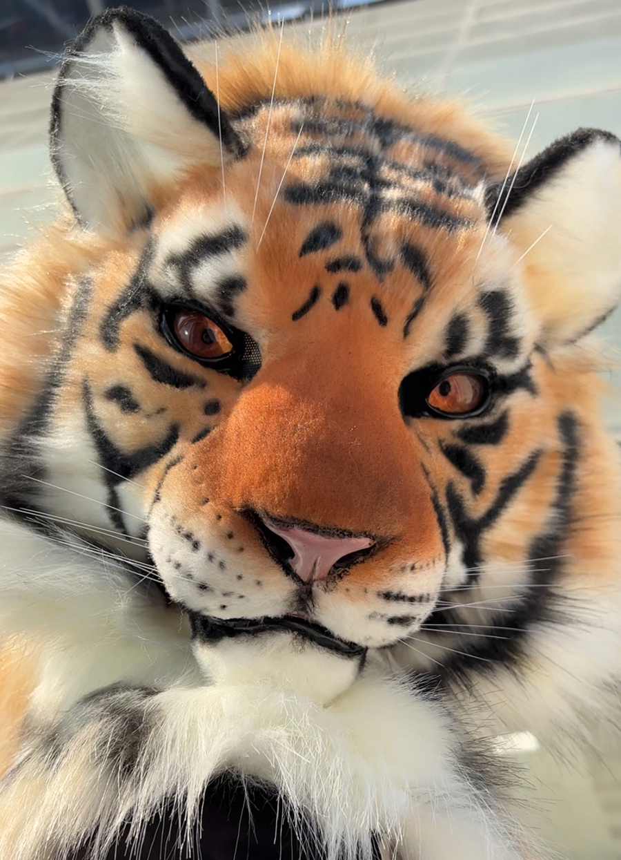 [Stock]Realistic Tiger Fursuit Head, Movable Jaw Beast Mask Halloween Cosplay Furry Costumes