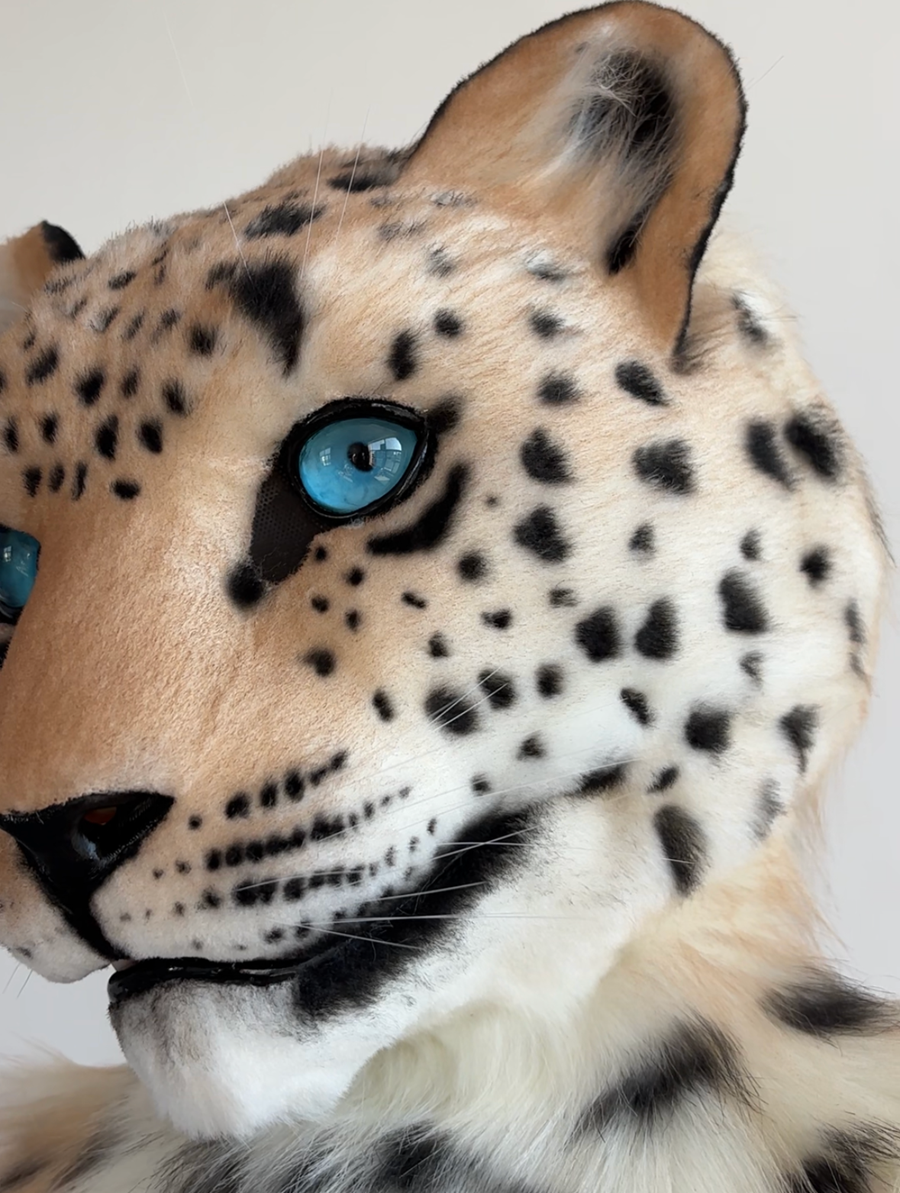 [Stock]Realistic Leopard Fursuit Head, Movable Jaw Beast Mask Halloween Cosplay Furry Costumes