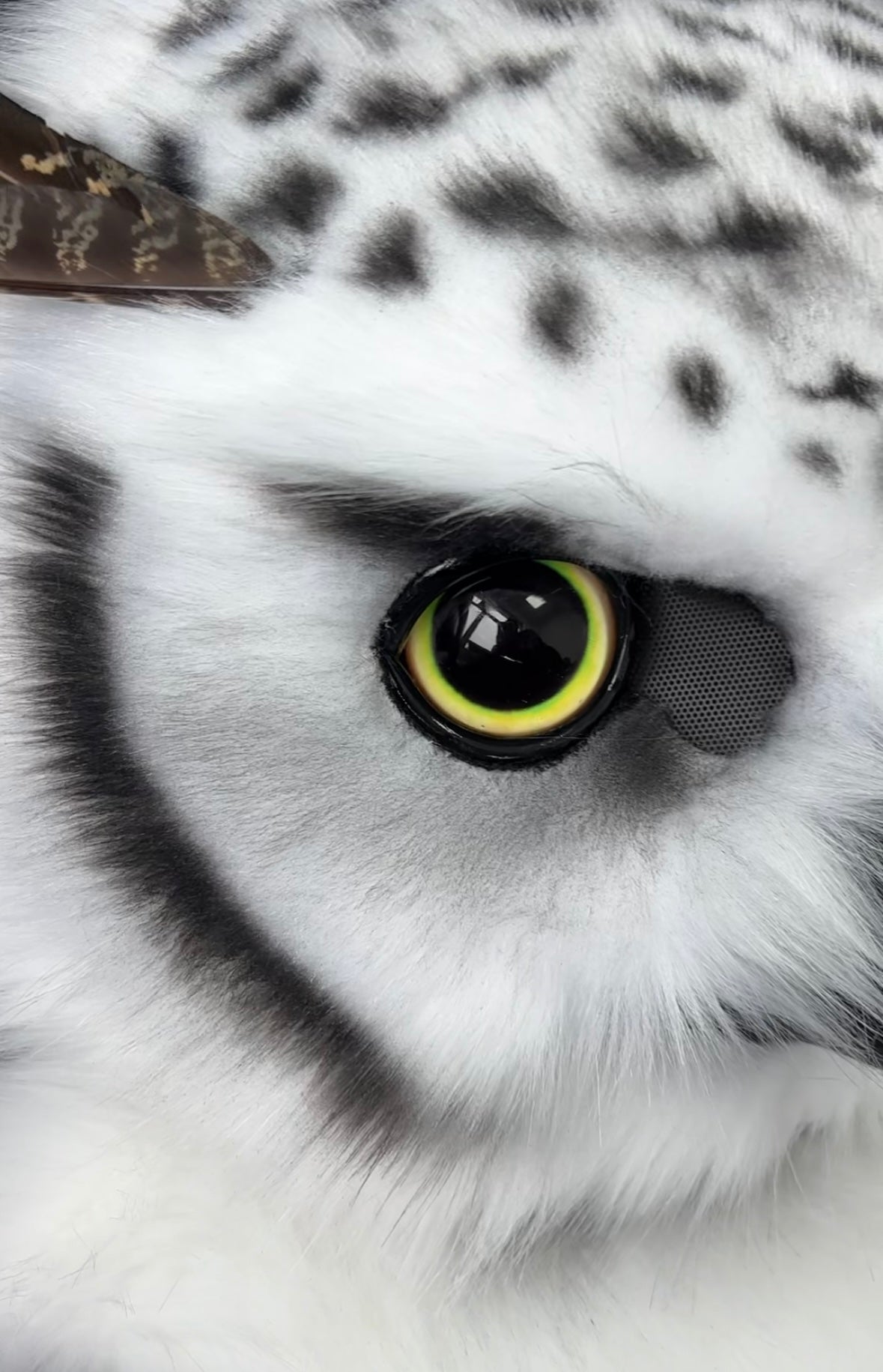 [Stock]Cute Owl Movable Jaw Realistic Fursuit Head Bird Costumes