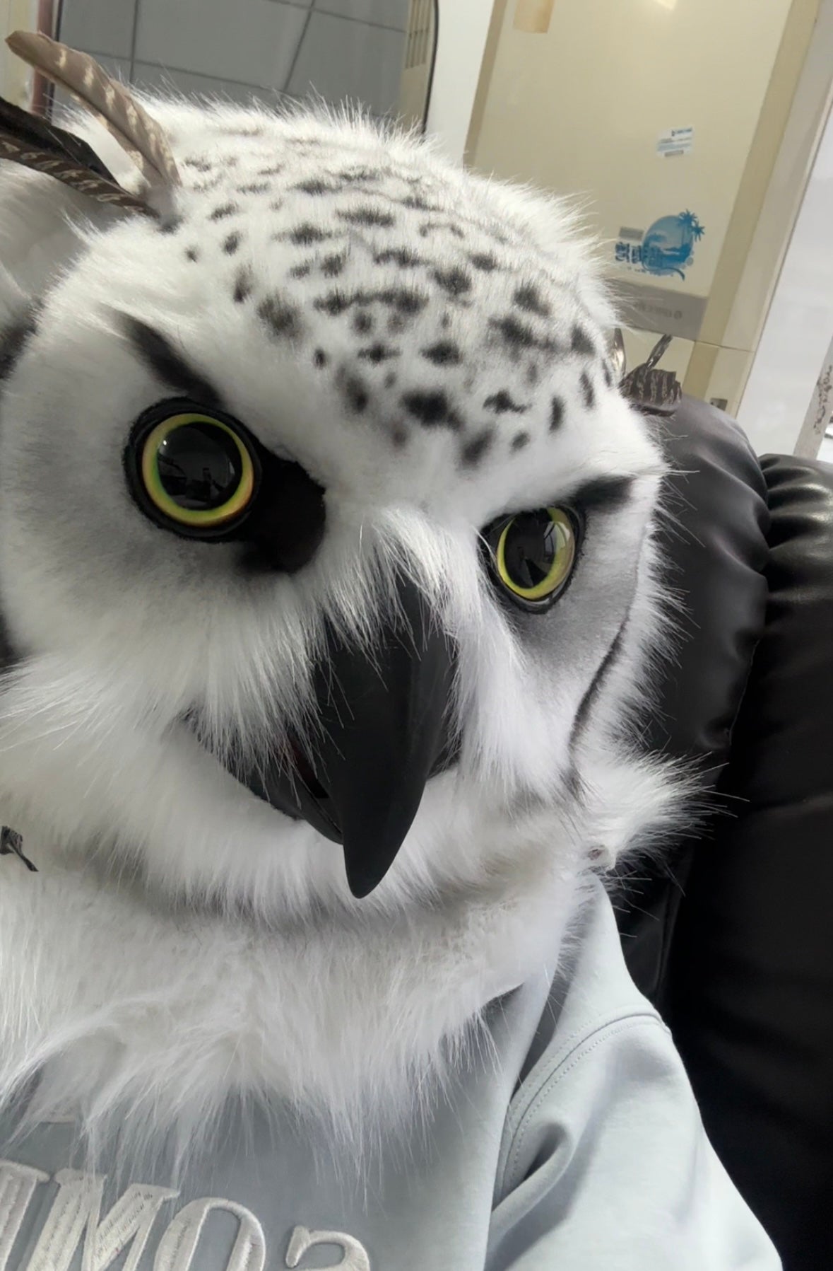 [Stock]Cute Owl Movable Jaw Realistic Fursuit Head Bird Costumes