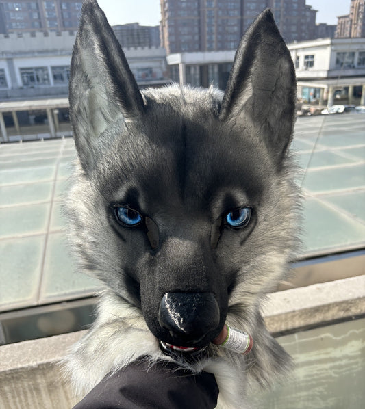 [Stock]Movable Jaw Realistic Wolf Dog Fursuit Head Halloween Costumes Furry Accessories