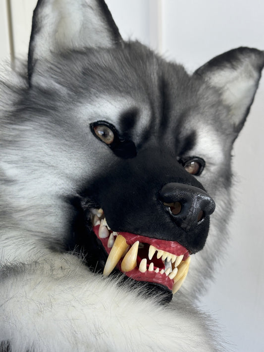 [Stock]Snarl Dog Movable Jaw Realistic Fursuit Head Halloween Costumes Furry Accessories