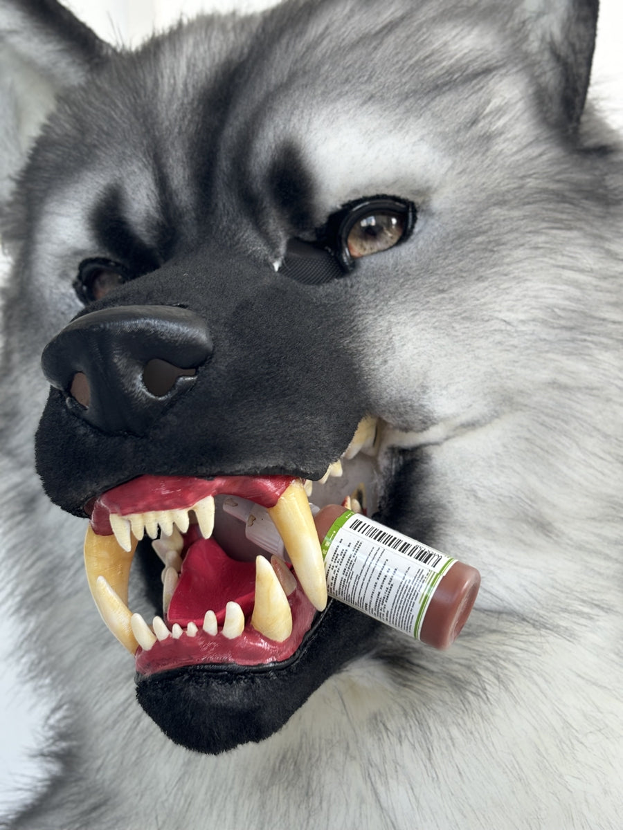 [Stock]Snarl Dog Movable Jaw Realistic Fursuit Head Halloween Costumes Furry Accessories