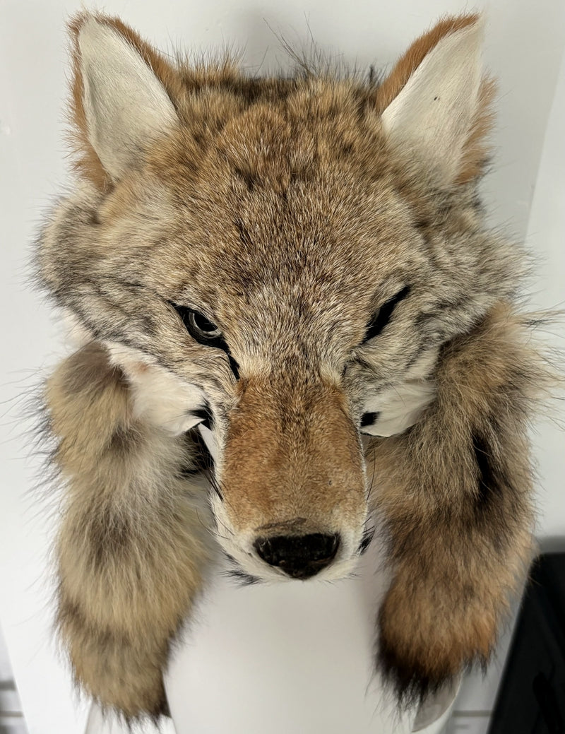 [Stock] Realistic Fursuits Wolf Hat with Shawl