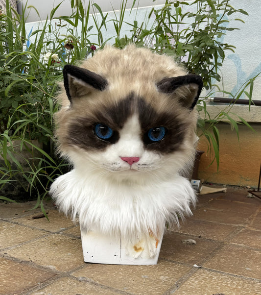 [Stock] Realistic movable jaw Ragdoll Cat fursuit headpiece cosplay furry costume head