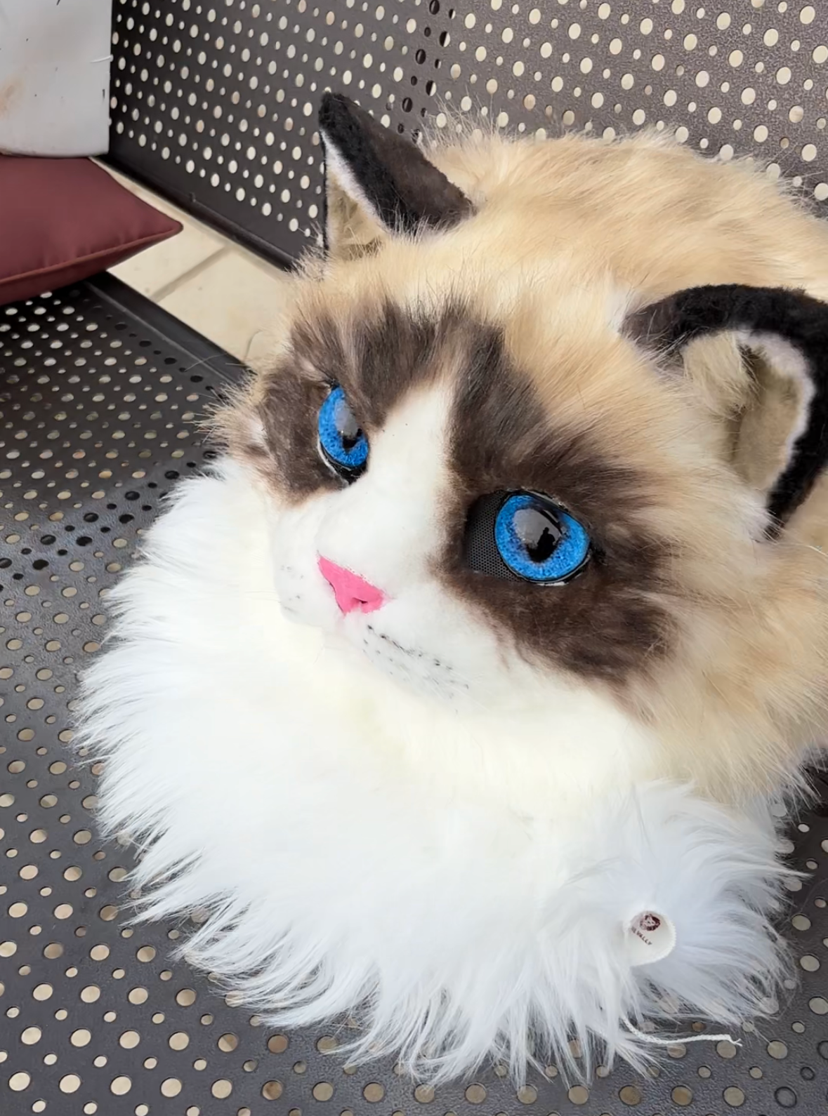 [Stock] Realistic movable jaw Ragdoll Cat fursuit headpiece cosplay furry costume head