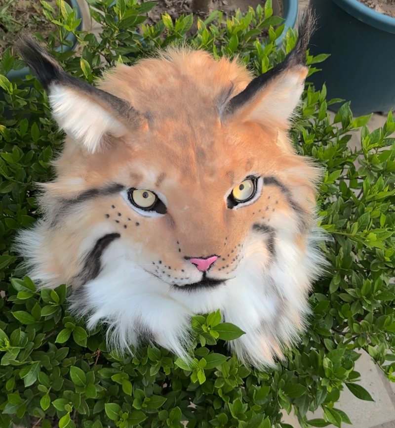 [Stock] Realistic movable jaw lynx fursuit headpiece cosplay costume mask