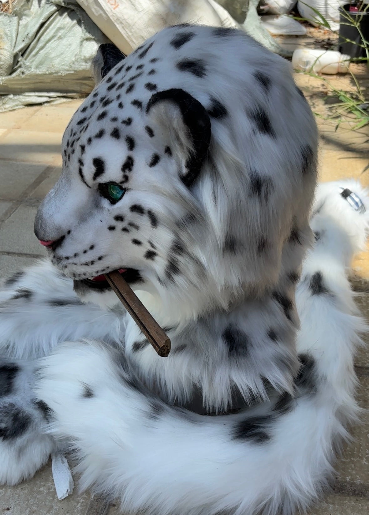 [Premade] Realistic fursuit head movable jaw snow leopard with paws and tail cosplay costume mask