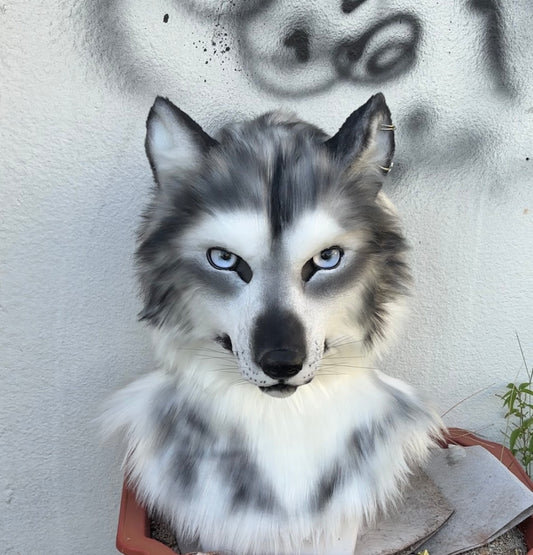 [Premade]Realistic fursuit headpiece movable jaw wolf head halloween cosplay mask furry costume accessories