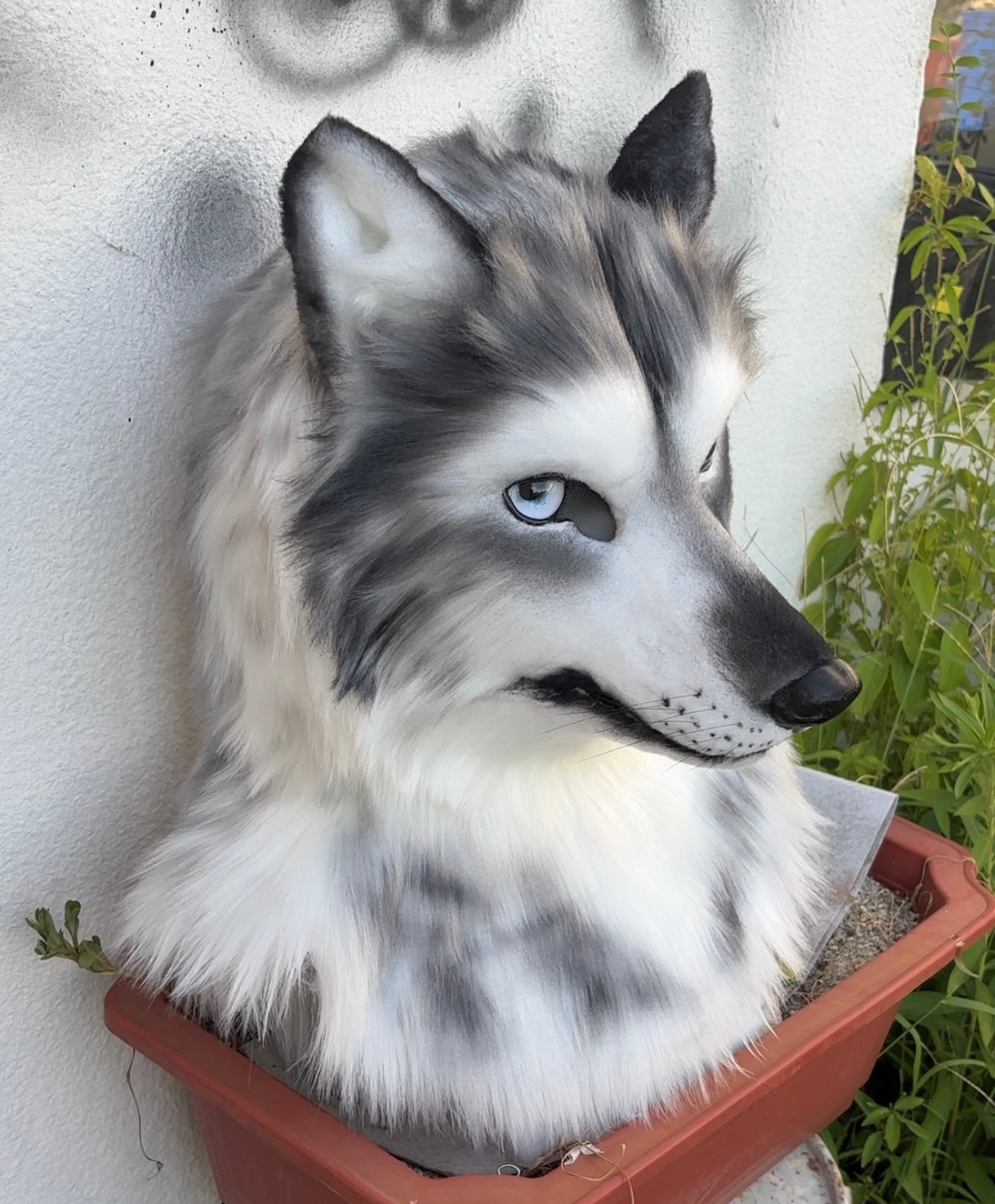 [Premade]Realistic fursuit headpiece movable jaw wolf head halloween cosplay mask furry costume accessories