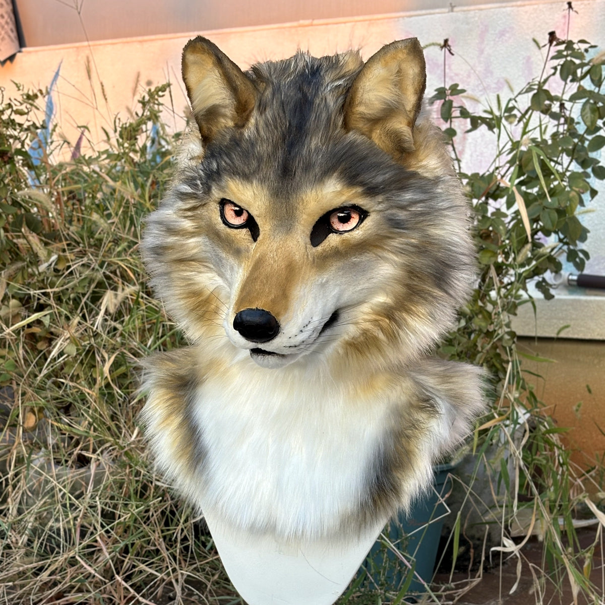 [Premade]Movable Jaw Realistic Wolf Fursuit Head Cosplay Beast Mask Halloween Costumes Furry Accessories