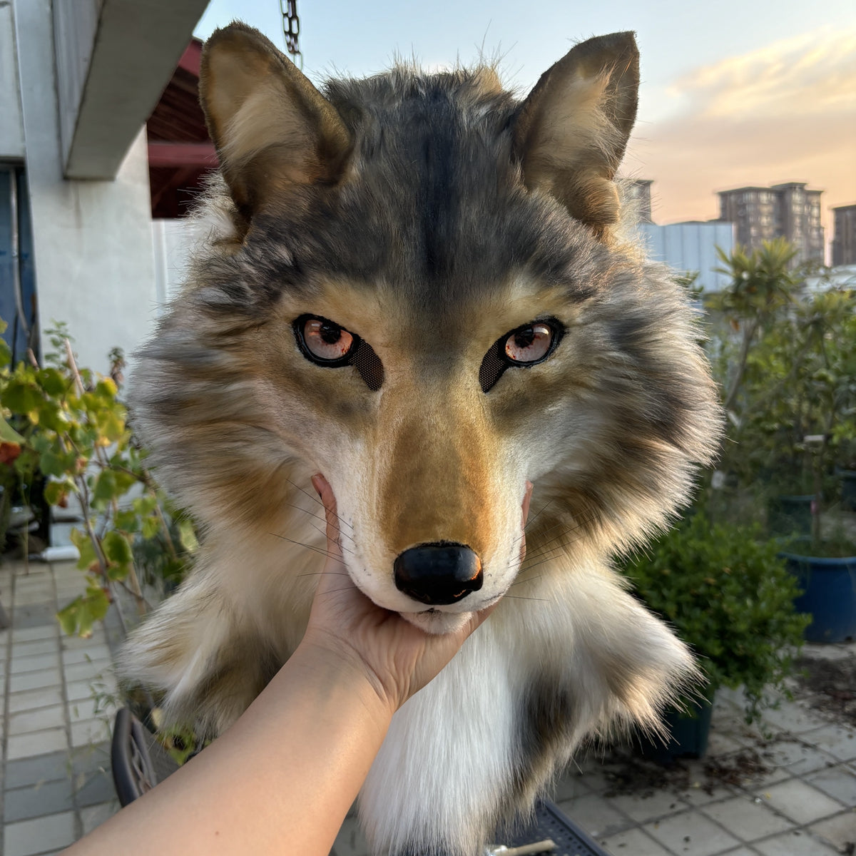[Premade]Movable Jaw Realistic Wolf Fursuit Head Cosplay Beast Mask Halloween Costumes Furry Accessories