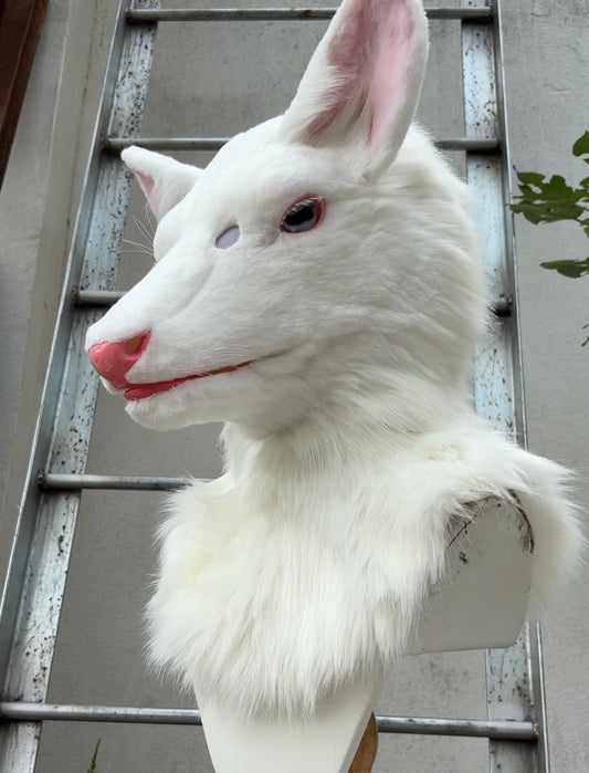 [Premade]Realistic Fursuit Head Deer Movable Jaw Halloween Mask Cosplay Costumes Furry Accessories